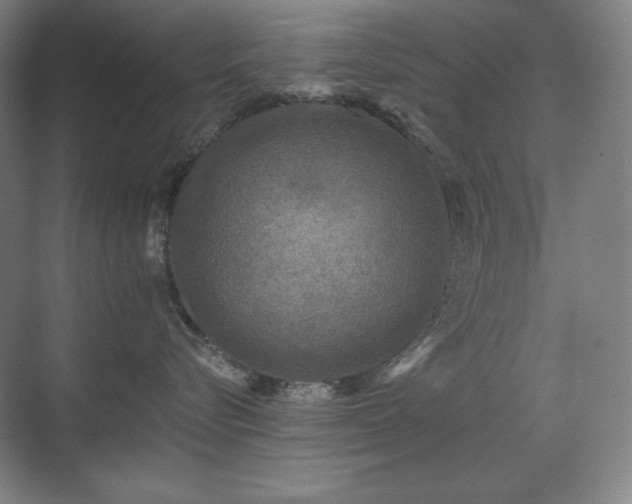 X0000070220576200605261321