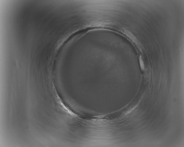 X0000070220577200605261320