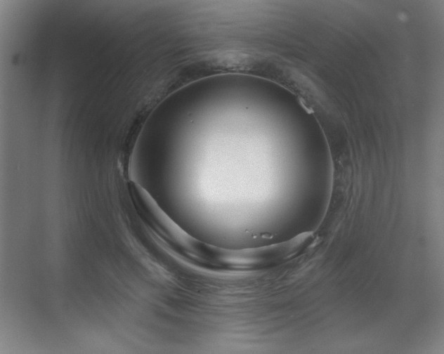 X0000070220597200605261320