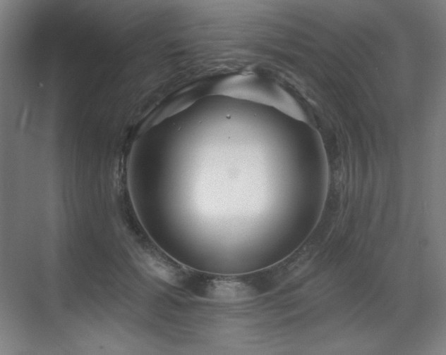 X0000070220605200605261320