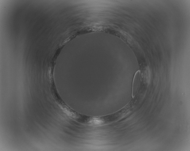 X0000070220610200605261320