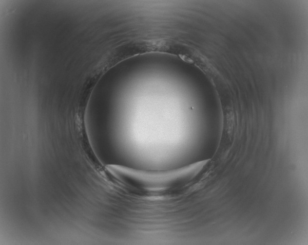 X0000070220613200605261320