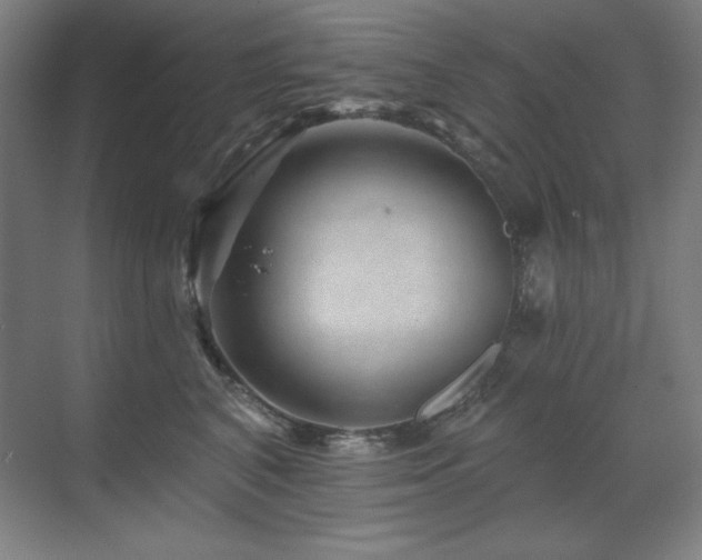 X0000070220616200605261319