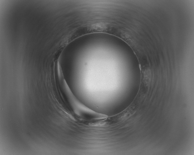 X0000070220617200605261319