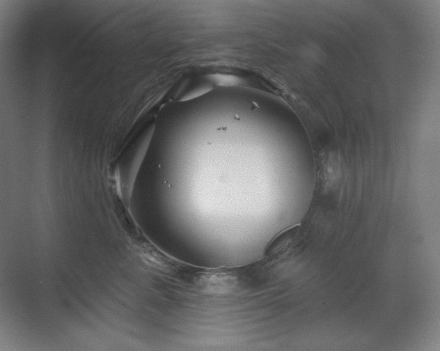 X0000070220619200605261319