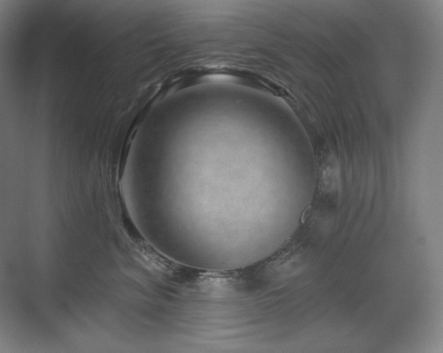 X0000070220620200605261319