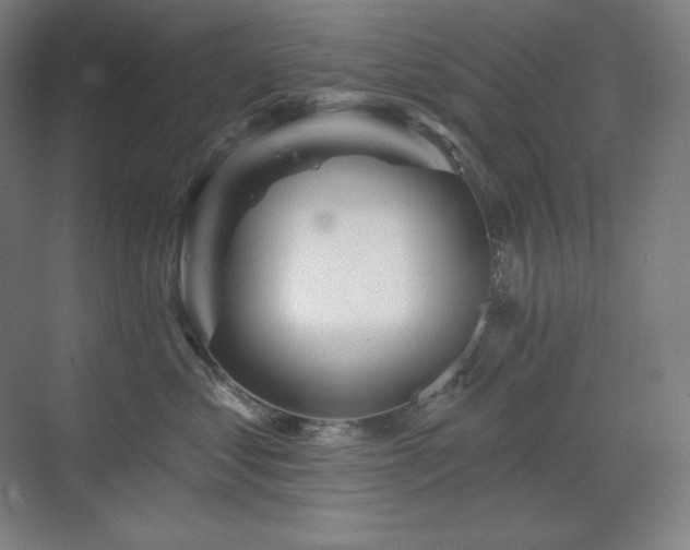 X0000070220621200605261319
