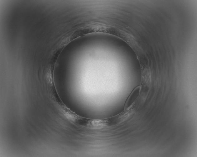 X0000070220622200605261319