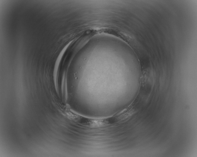 X0000070220623200605261319