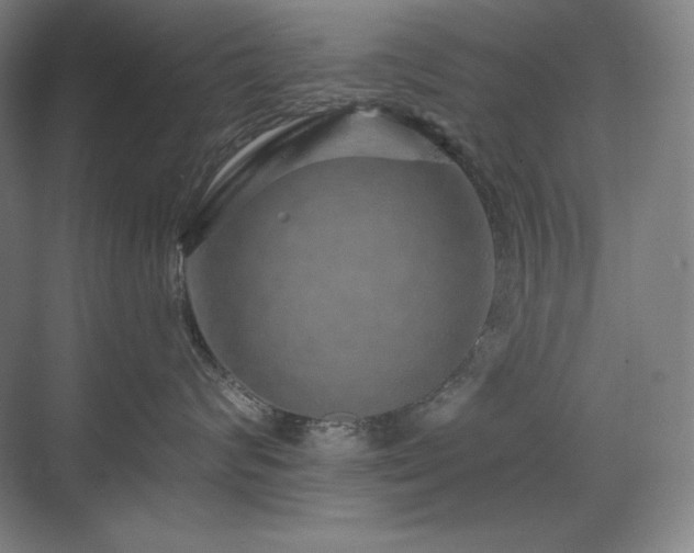 X0000070220624200605261319