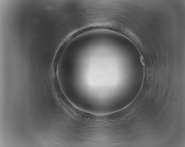 X0000070220628200605261319