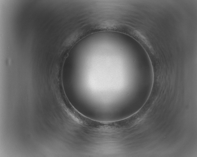 X0000070220633200605261319