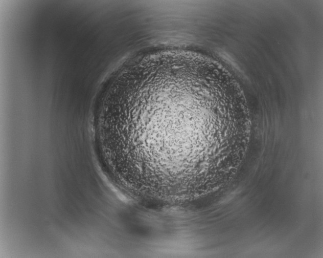 X0000070220634200605261319