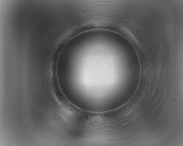 X0000070220635200605261319