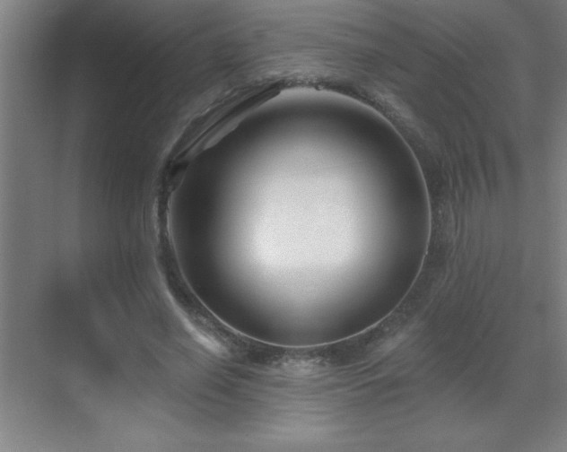X0000070220638200605261319