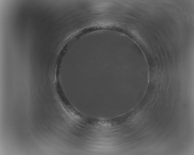 X0000070220640200605261319