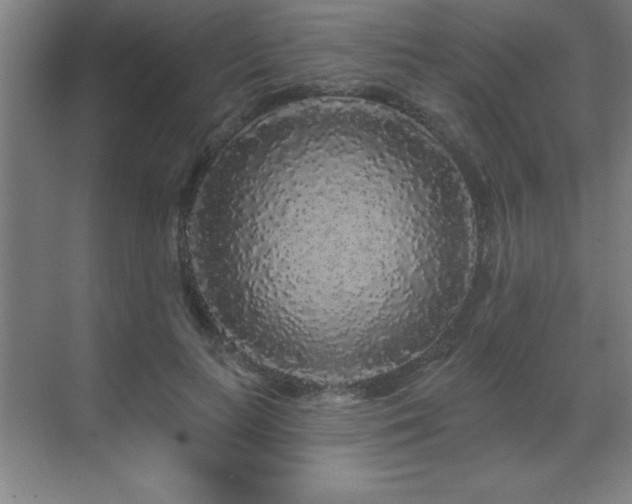 X0000070220647200605261319
