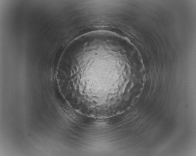 X0000070220651200605261319