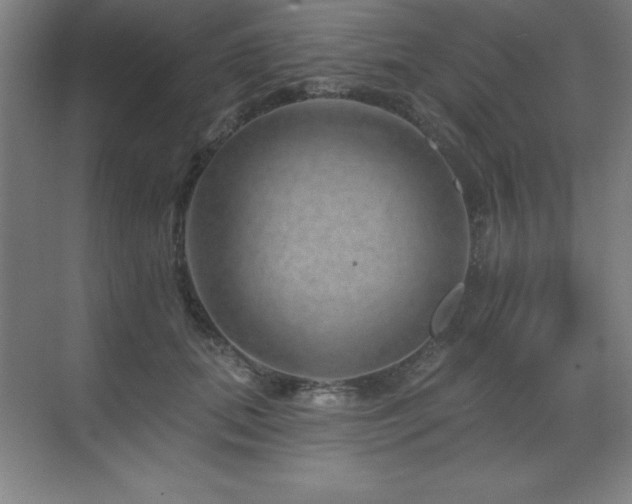 X0000070220655200605261319