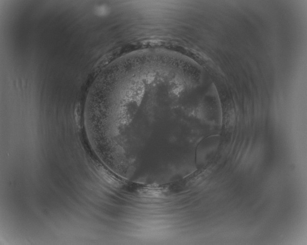 X0000070220661200605261319