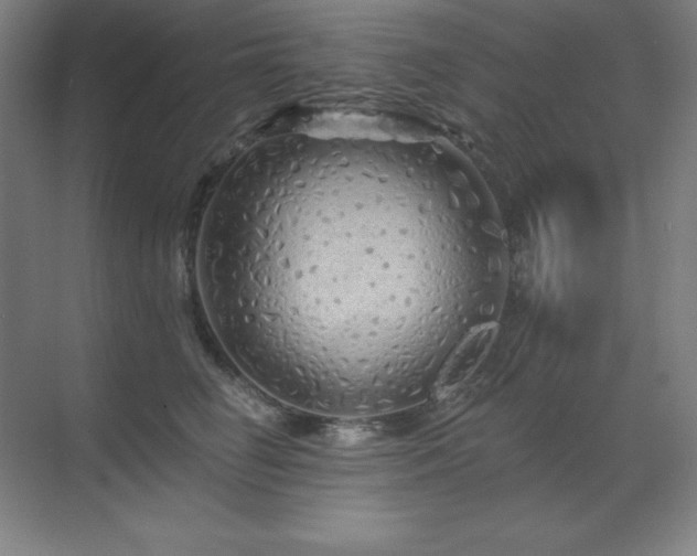 X0000070220662200605261319