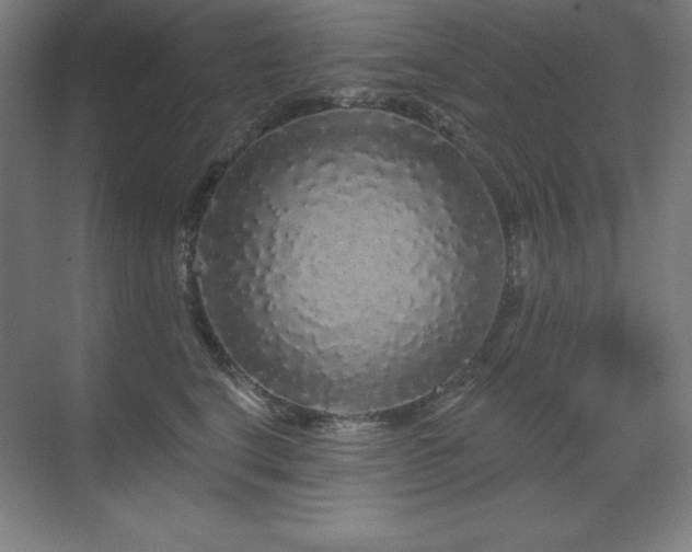 X0000070220664200605261319