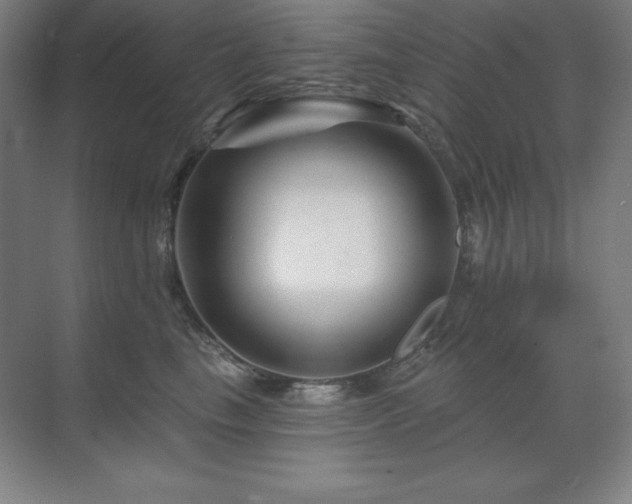 X0000070220665200605261319