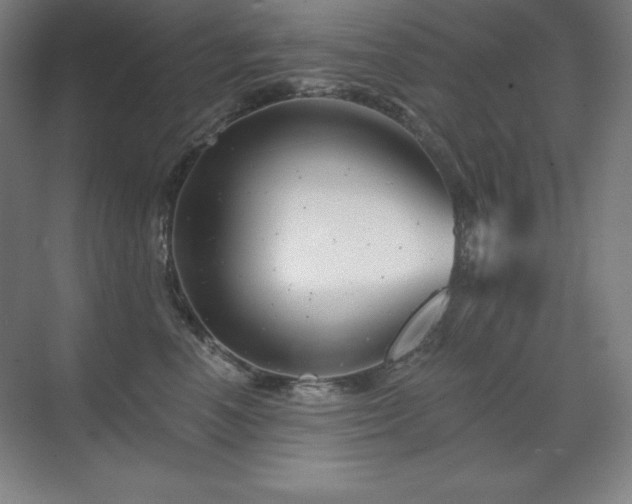 X0000070220666200605261319