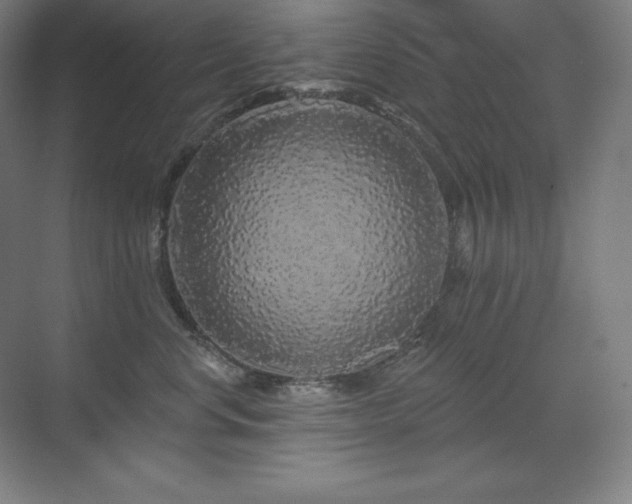 X0000070220668200605261319