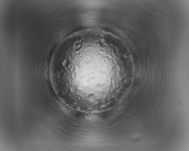 X0000070220669200605261319