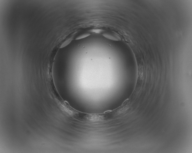 X0000070220670200605261319