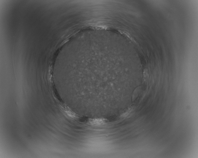 X0000070220671200605261319
