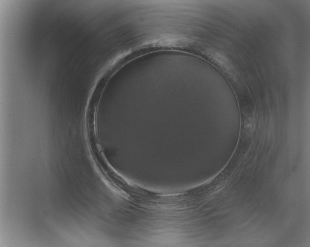 X0000070220678200605261318