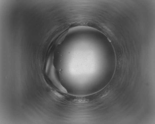 X0000070220693200605261318