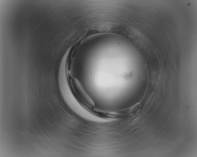 X0000070220697200605261318