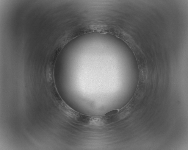 X0000070220705200605261318