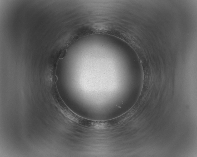 X0000070220710200605261318