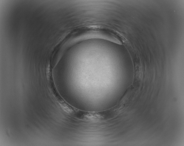 X0000070220712200605261318