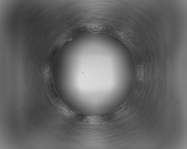 X0000070220713200605261318