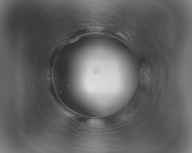 X0000070220714200605261318