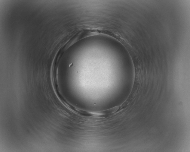 X0000070220716200605261318