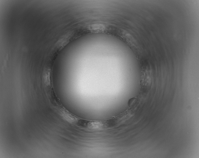 X0000070220717200605261318