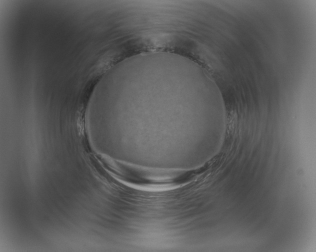 X0000070220719200605261318