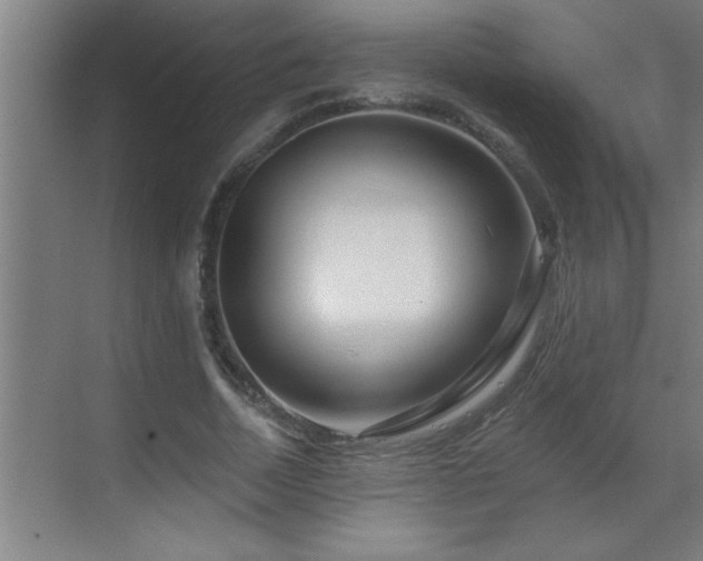 X0000070220730200605261317
