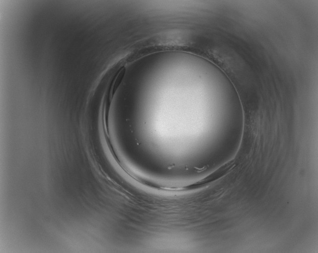 X0000070220731200605261317