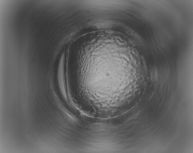 X0000070220733200605261317