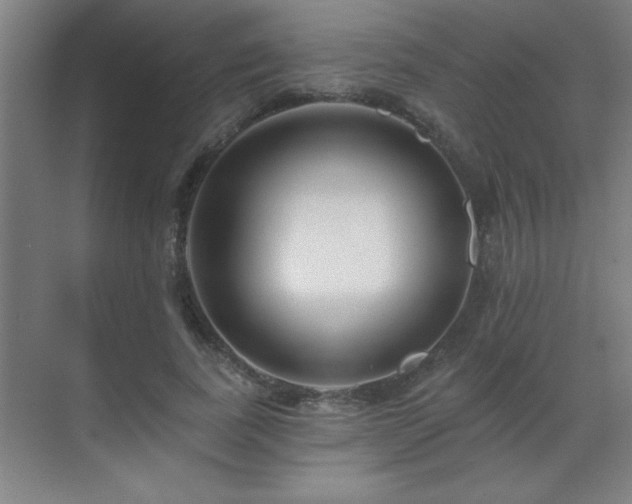 X0000070220739200605261317