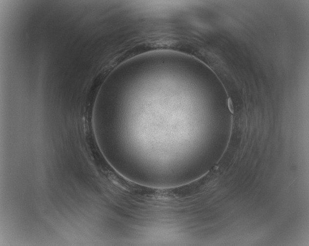 X0000070220743200605261317