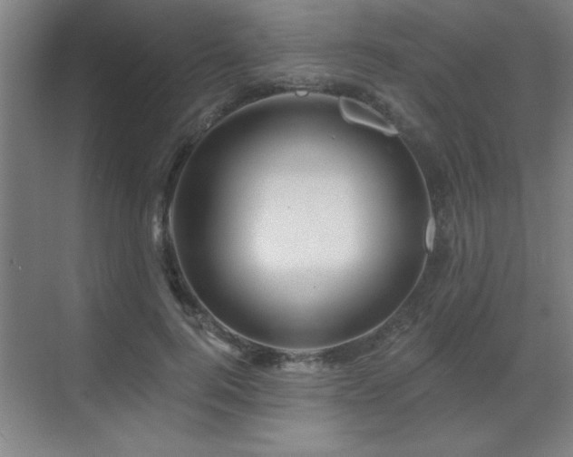 X0000070220744200605261317