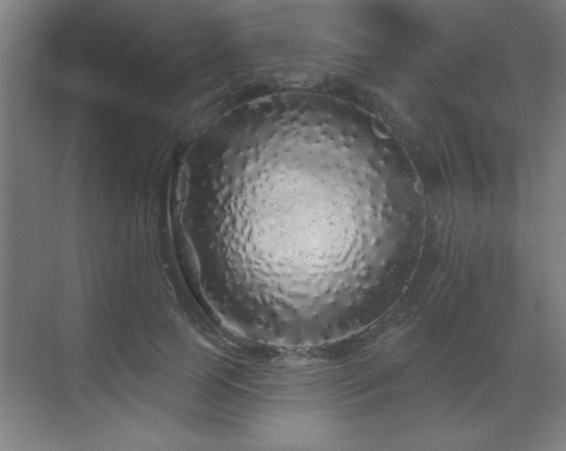 X0000070220745200605261317